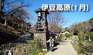 Izu-Kogen